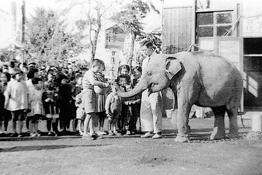 2022年は動物園の節目の年！ 記念企画展「日本の動物園と水族館は東京から始まりました」が開催されます