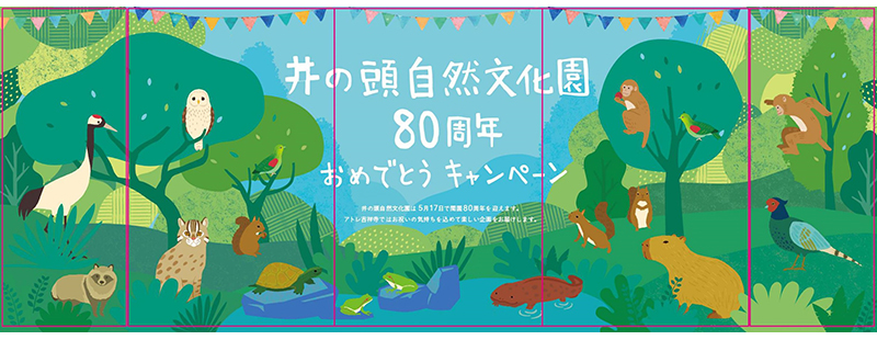 「井の頭自然文化園80周年おめでとうキャンペーン」開催！アトレ吉祥寺で開園80周年をお祝いしよう！