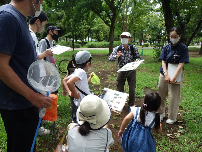 【8月5日（土）】自由研究にもピッタリ！武蔵野中央公園で「自然観察会」が開催！