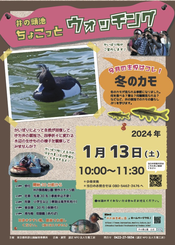 井の頭池ちょこっとウォッチング　2024年1月