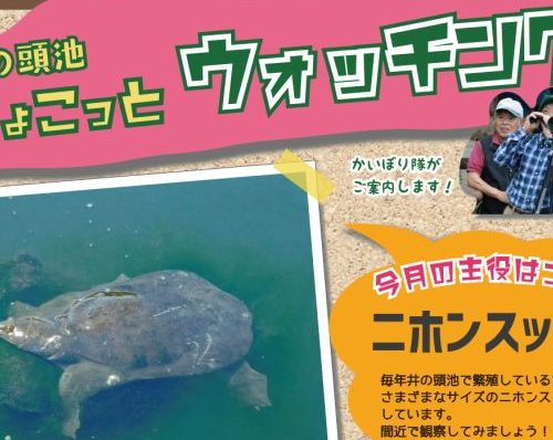 井の頭池ちょこっとウォッチング　2024年6月