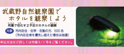 武蔵野自然観察園でホタルを観察しよう