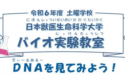 土曜学校「日本獣医生命科学大学バイオ実験教室」