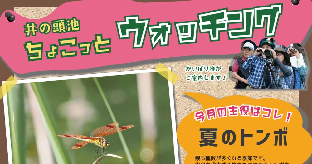 井の頭池ちょこっとウォッチング　2024年8月