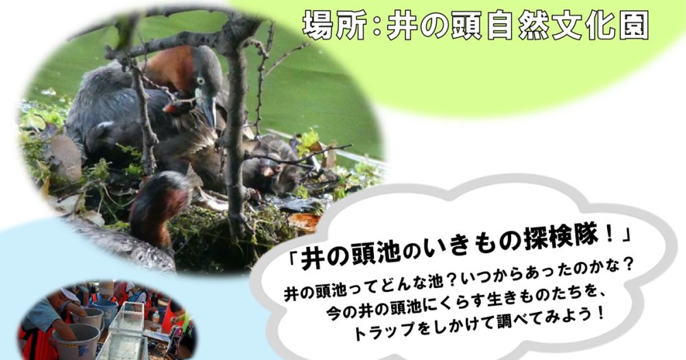 親子野あそびクラブ～動物博士になろう（1）