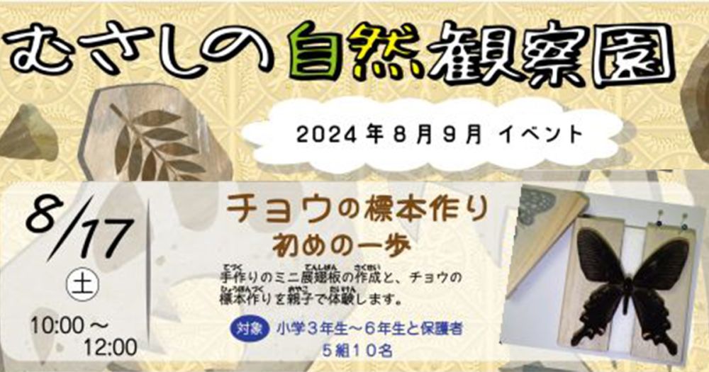 むさしの自然観察園「チョウの標本作り 初めの一歩」