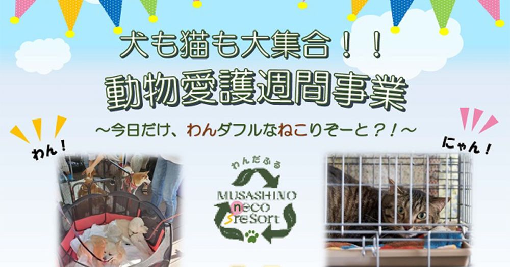 武蔵野市 動物愛護週間事業 犬と猫の譲渡会