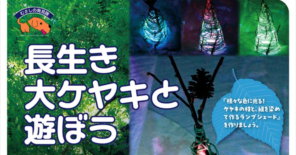 むさしの発見隊「長生き大ケヤキと遊ぼう」