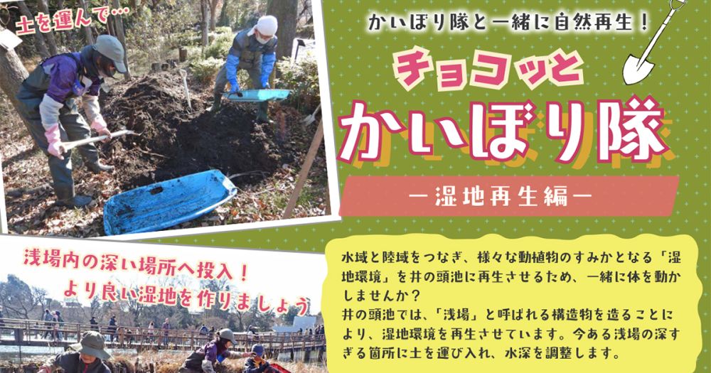 かいぼり隊と一緒に自然再生！「ちょこっとかいぼり隊 －湿地再生編－」2025年1月・2月