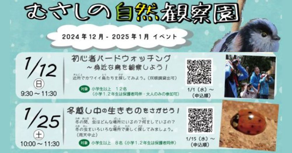 むさしの自然観察園「冬越し中の生き物をさがそう」