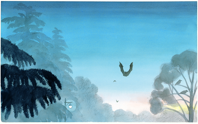 サテライト展示　絵本『こうもり』ができるまで