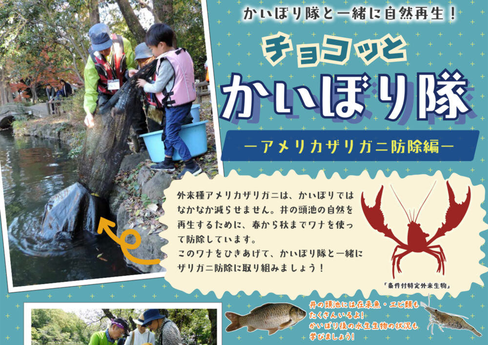 かいぼり隊と一緒に自然再生！「チョコッとかいぼり隊 －アメリカザリガニ防除編－」2025年8月