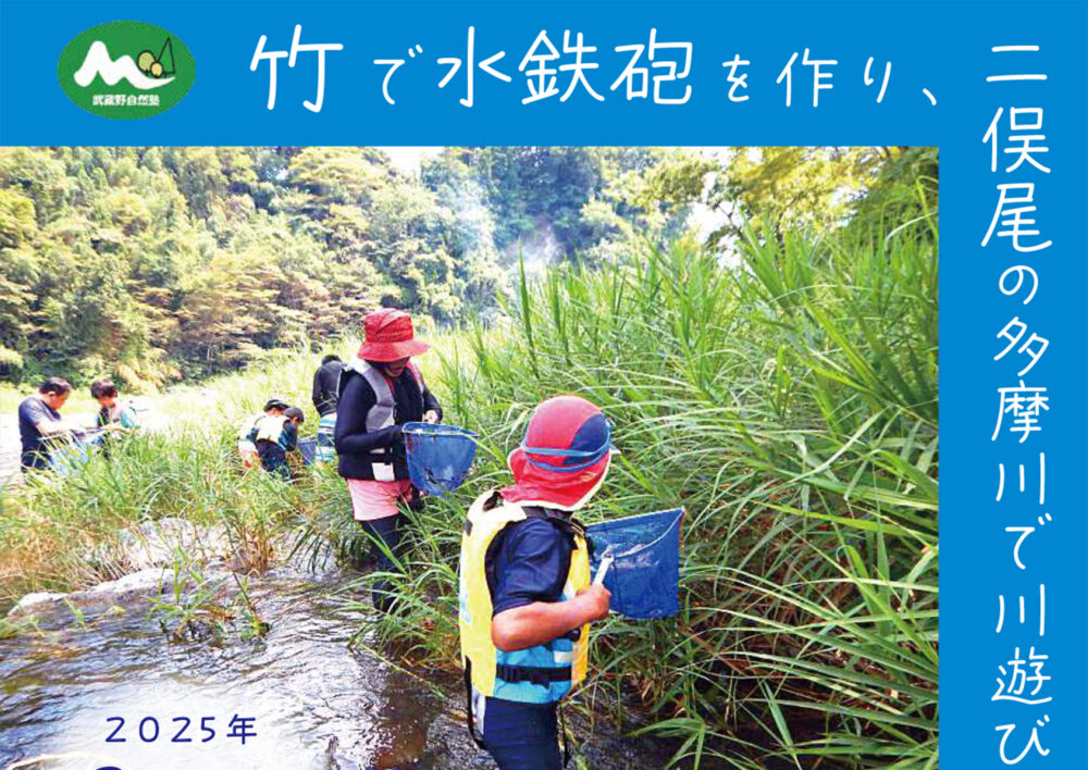 竹で水鉄砲を作り、二俣尾の多摩川で川遊びと生きもの観察をしよう
