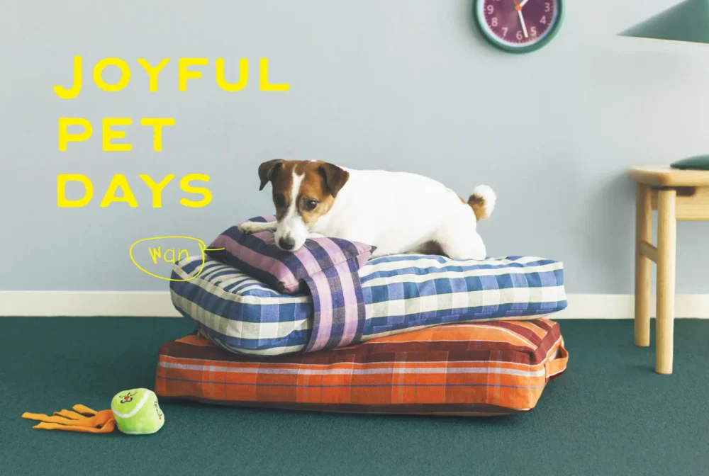 unicoからペットとの暮らしやインテリアを楽しく快適にするオリジナルアイテムが発売！