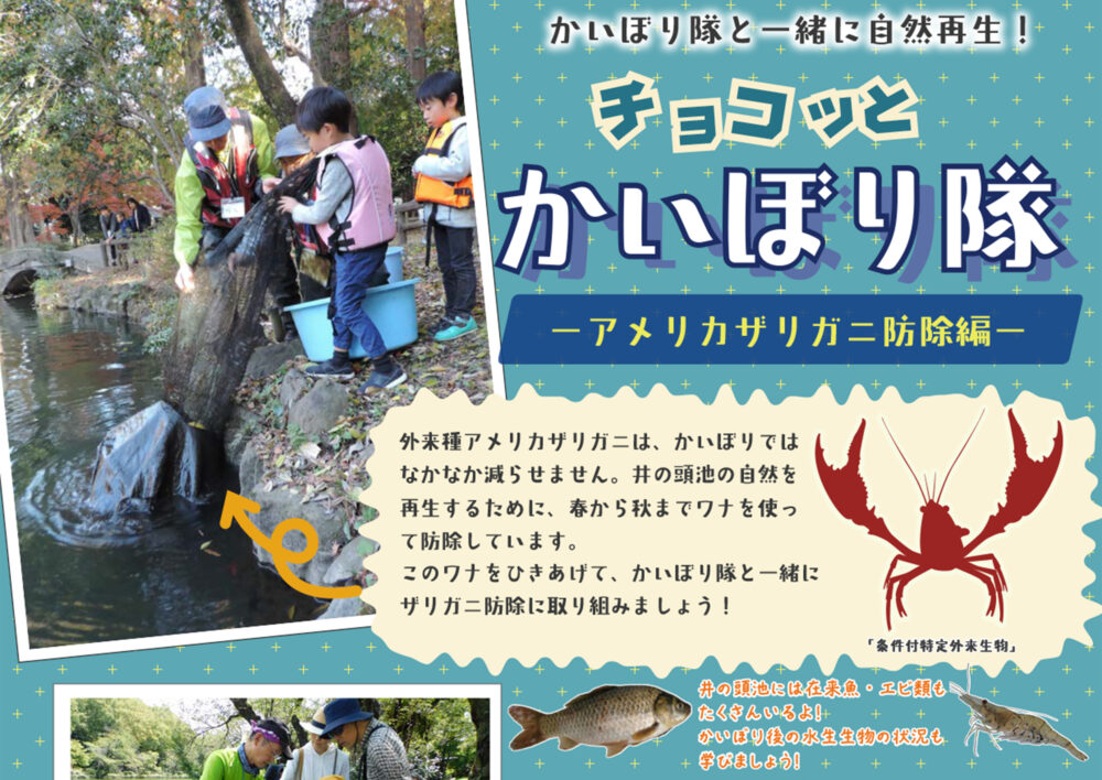 かいぼり隊と一緒に自然再生！「チョコッとかいぼり隊 －アメリカザリガニ防除編－」2025年9月、10月