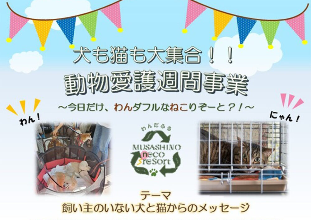 令和7年度 武蔵野市 動物愛護週間事業「犬と猫の譲渡会」