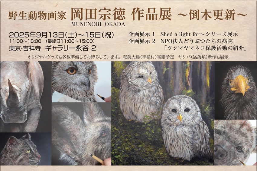 野生動物画家　岡田宗徳作品展～倒木更新～