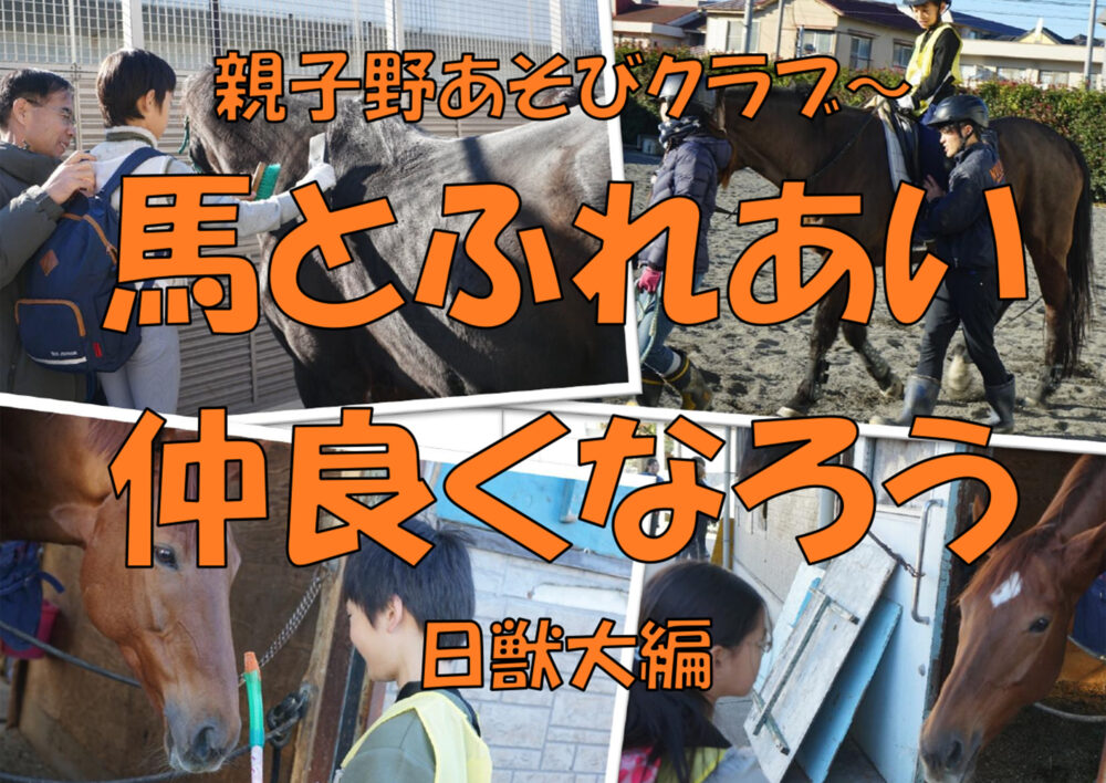 親子野あそびクラブ～馬とふれあい仲良くなろう 日獣大編