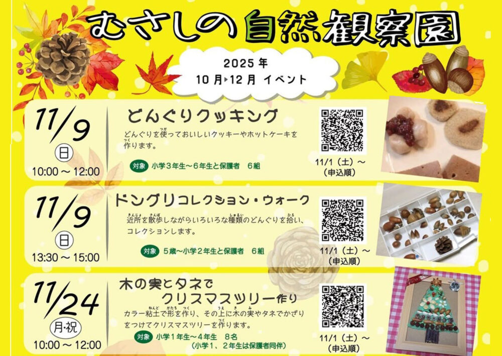 むさしの自然観察園「木の実とタネでクリスマスツリー作り」