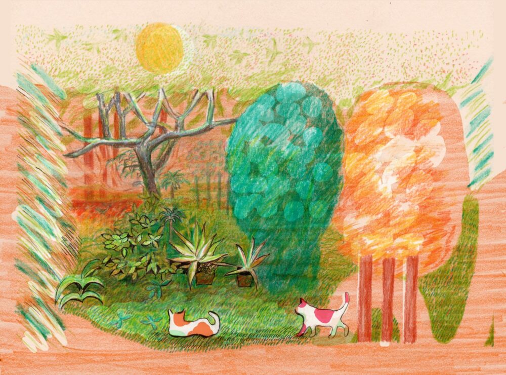 井出静佳個展　遠い光にあたる