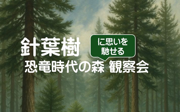 第230回井の頭かんさつ会「針葉樹　恐竜時代の森に思いを馳せる観察会」