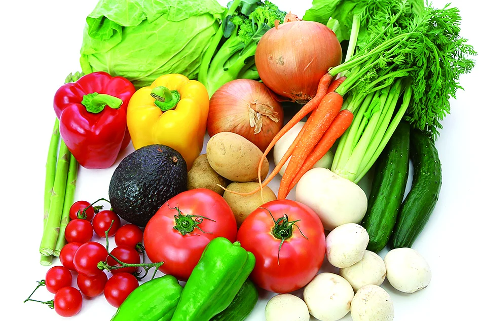 2026年1月のオープンキャンパス