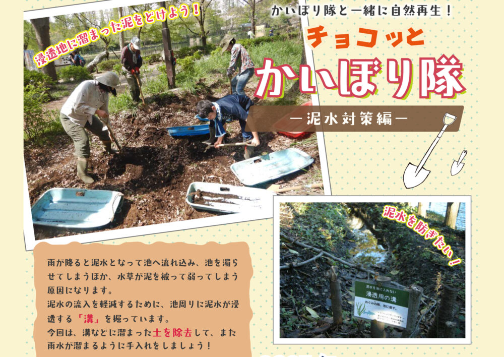 かいぼり隊と一緒に自然再生！「チョコッとかいぼり隊 －泥水対策編－」2025年12月