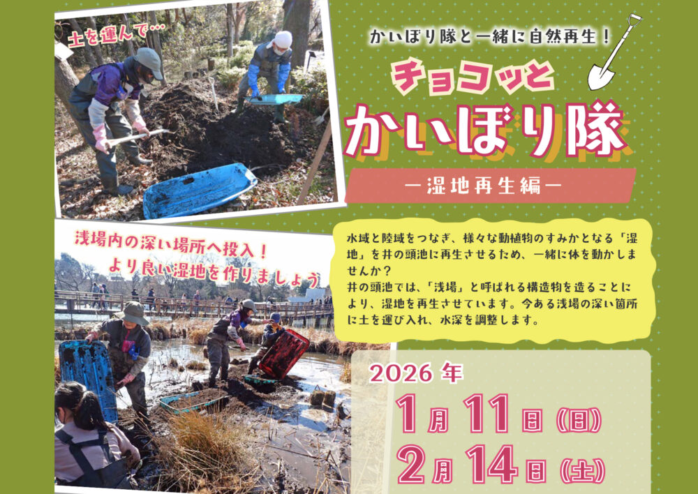 かいぼり隊と一緒に自然再生！「チョコッとかいぼり隊 －湿地再生編－」2026年1月、2月