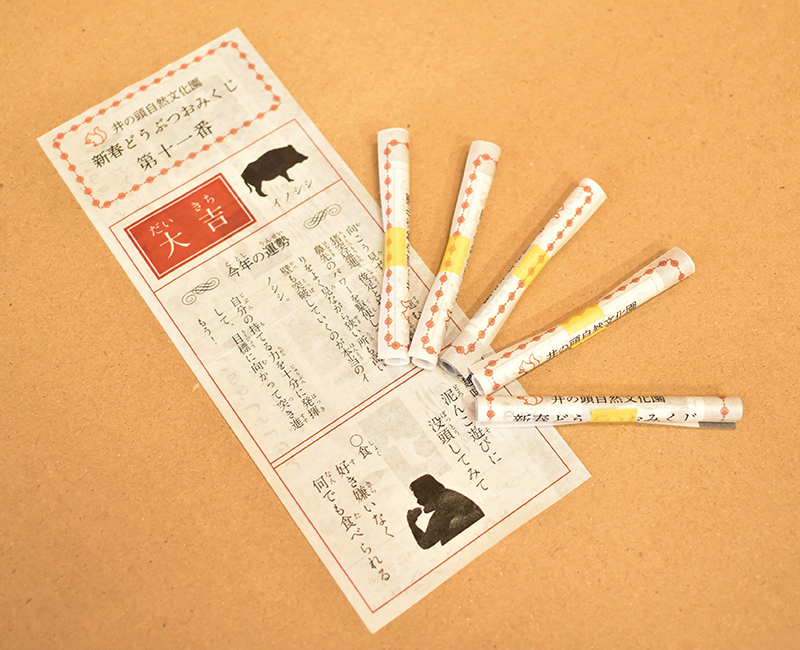 新春・どうぶつおみくじ