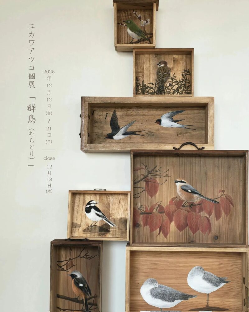 ユカワアツコ個展「群鳥（むらとり）」