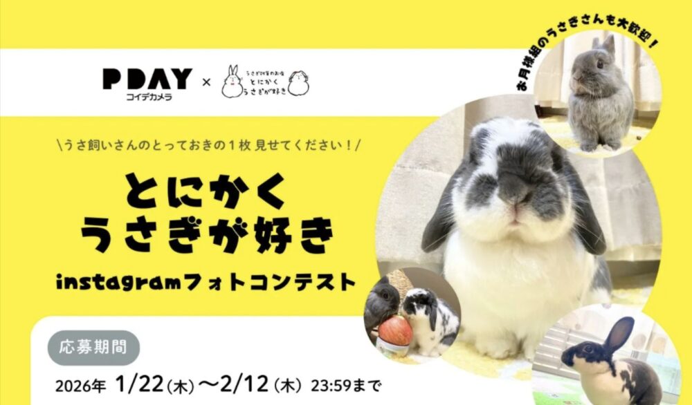うさ飼いさんのとっておきの1枚見せてください！とにかくうさぎが好きinstagramフォトコンテスト