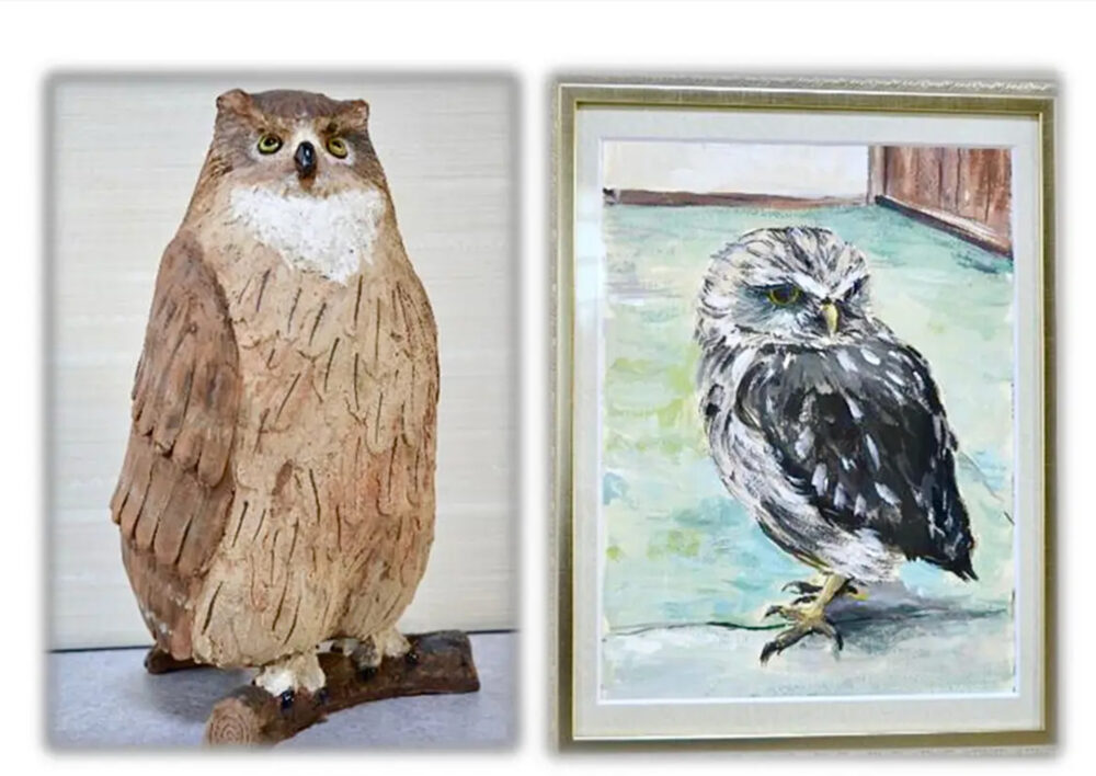 藤川 章『ふくろうの森』ふくろうとその仲間たち