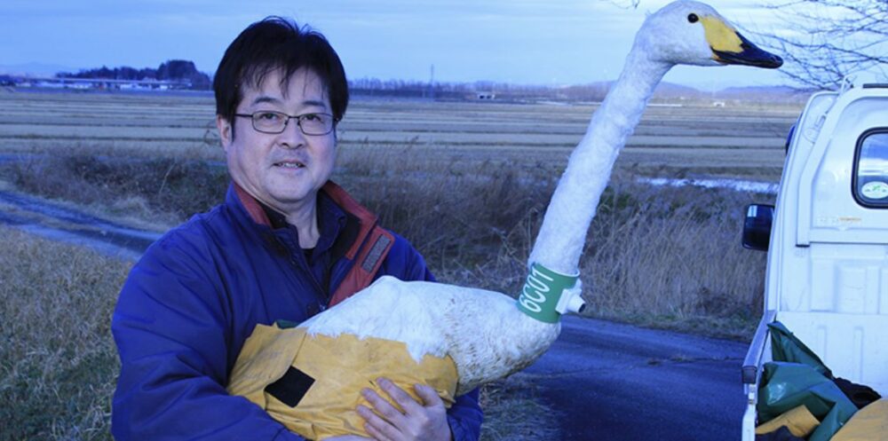 身近な水辺保全講演会「ハクチョウと旅するスワンプロジェクト –知る、考える、水鳥のくらし」