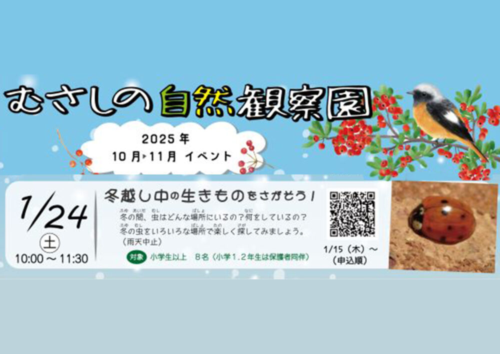むさしの自然観察園「冬越し中の生き物をさがそう！」