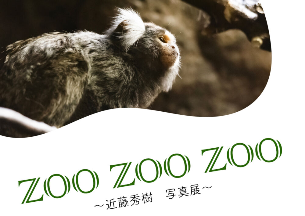 ZOO ZOO ZOO—近藤秀樹 写真展—
