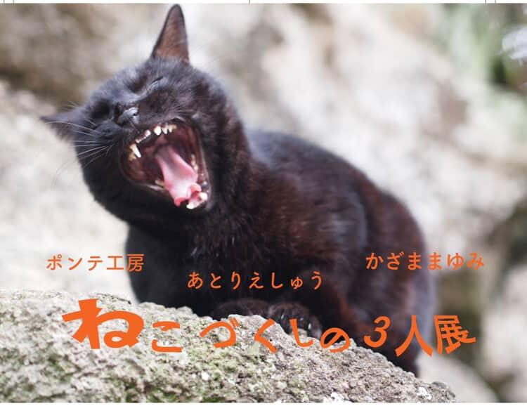 3人展　ねこぞく4