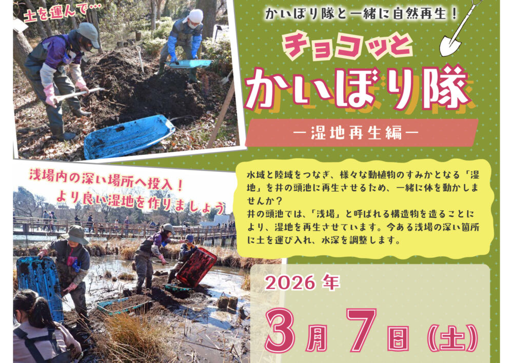 かいぼり隊と一緒に自然再生！「チョコッとかいぼり隊 －湿地再生編－」2026年3月