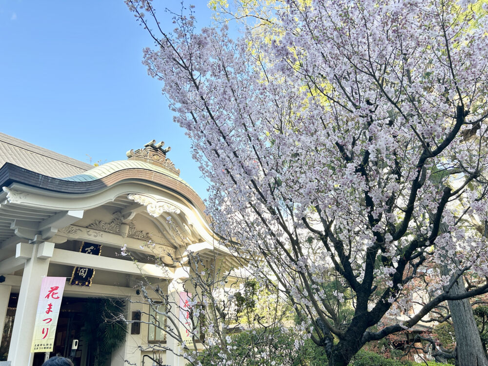 お稚児さんが商店街を練り歩く！吉祥寺花まつりが2026年4月5日（日）に開催@月窓寺