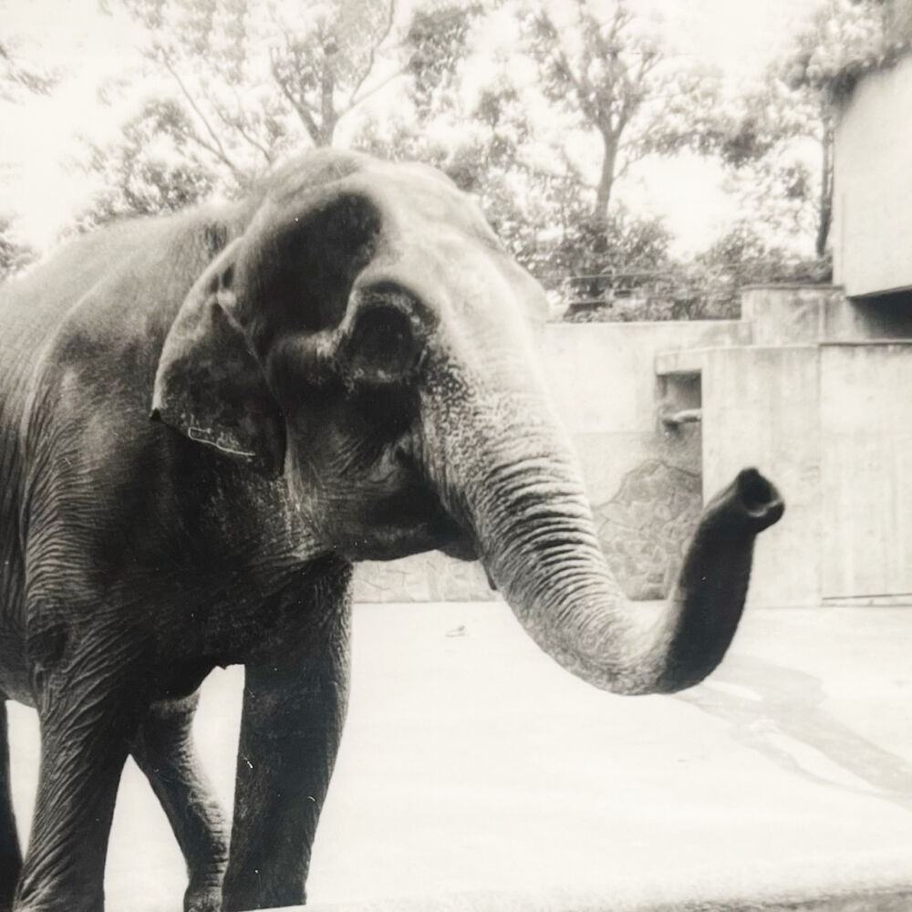 週きちアーカイブ担当